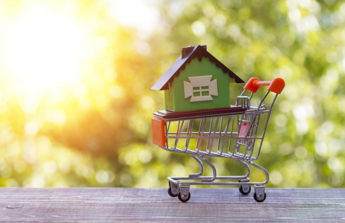 BORAK REAL ESTATE: A guide to Auction Property